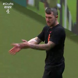 “Smashed it, they have smashed it” #Crufts 👊✨ | Crufts