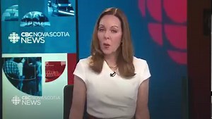 10K views · 104 reactions | Meet the Halifax woman leading a campaign to show some love to the weedy gardens that surround the Halifax Explosion Memorial in the city's north end. | CBC Nova Scotia | Facebook