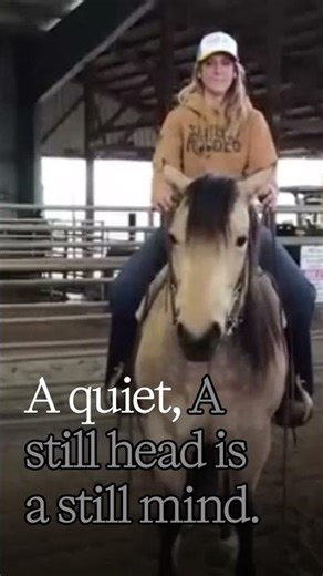 You’ve been told to run your horse on chlorpromazine or guanabenz to calm their nerves