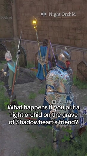 Shadowheart Night Orchid Ritual in Baldur's Gate