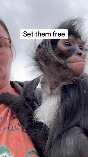 Had to repost this gem from last year🤣