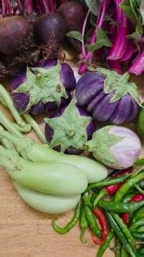 Today's harvest from our organic terrace garden #garden #shorts