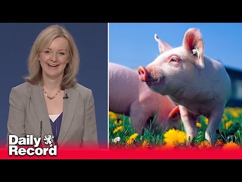 Liz Truss in bizarre speech about cheese, pork and apples at Conservative conference in 2014