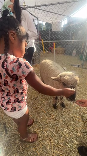 If you want your kids to win financially, start before the year ends — here’s how. 1. Secure Life Insurance for Yourself (and Possibly for Them) Why: Protecting your income ensures your kids’ future stays stable no matter what happens. Action: Review your life insurance coverage — or start a policy — so your children are financially covered. Bonus: Consider a small child life policy that builds cash value they can use later for college or a first home. 💸 2. Open or Contribute to a Savings or In