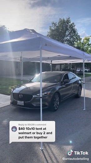 10x10 Canopies Setup Review: Walmart Tent Experience