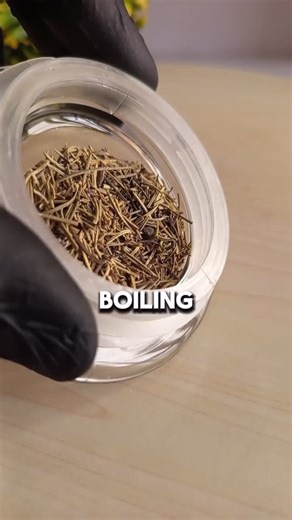 Cure Sage on Instagram: "How to use rosemary and cloves for hair growth. Comment “hair” and I will send you today’s free hair recipes Follow @cure.sage for more natural homemade recipes #naturalremedies #naturalremedy #hairgrowth #hair #growhair #hairgrowthtips #recipe #reels"