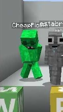 is that how you spell it? 😂 #minecraft #minecraftshorts #shorts #minecraftmemes