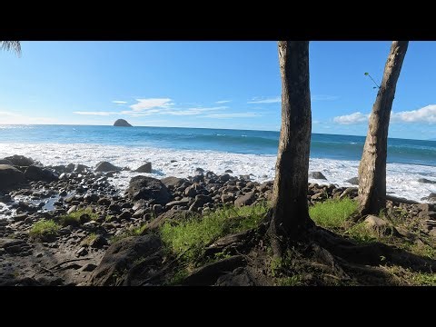 Anse Couleuvre Beach Walk, Martinique 🇲🇶 | Tropical Nature & Ocean Sounds (4K)