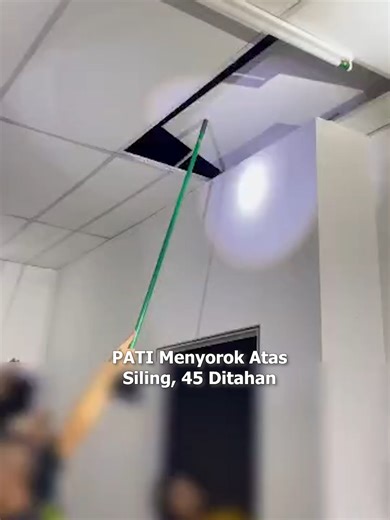 Serbuan Jabatan Imigresen di Johor Bahru: PATI Terperangkap