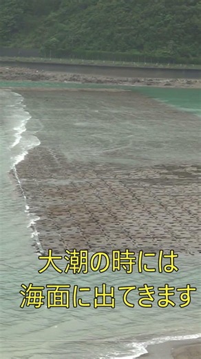 奄美大島人口海底リーフ 主に「海岸線の浸食防止や高波からの防護」と「海の生態系回復・海洋資源の保護」の2つの目的で設置されてます。#奄美大島#瀬戸内町阿木名#伊須湾#人口リーフ