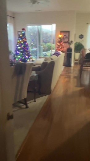 Here’s the main Christmas trees in the house | Paula Lewis