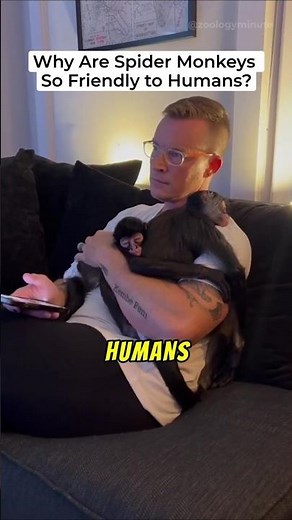 Why Are Spider Monkeys So FRIENDLY With Humans?