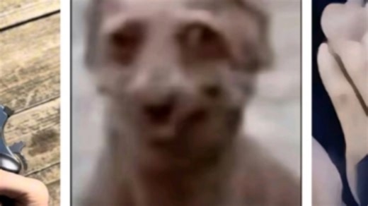 对没错这是我的第一个视频