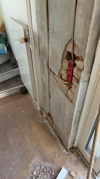 Understanding Wild Animals in Deutschland