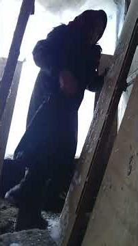 29 грудня 2025 р.