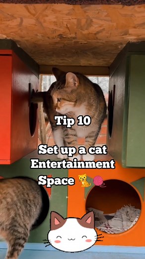 1.7K views · 69 reactions | Cat-Proof Your Home: Tips for Protecting...