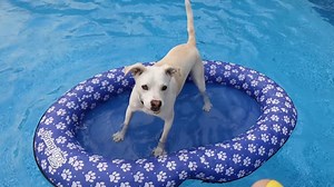 5.9K views · 589 reactions | It's game night! And you know what that...