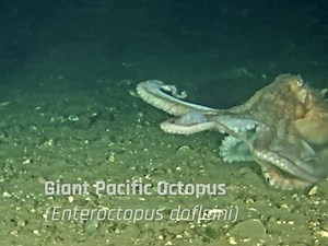 350K views · 578 reactions | Our newly installed community...