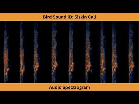 Bird Sound ID | Siskin Call | Audio Spectrogram