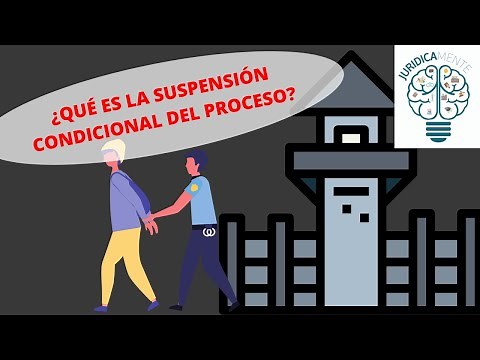 WHAT IS THE CONDITIONAL SUSPENSION OF PROCEEDINGS?