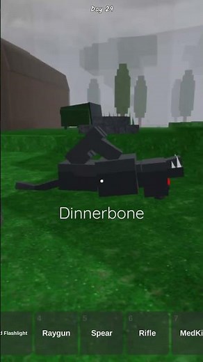 Dinnerbone.