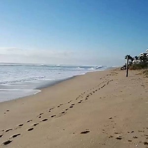 3.2K views · 114 reactions | Here's a preview of tomorrow's ocean...