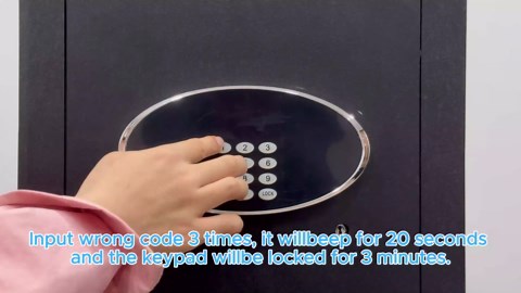 YAYAG 6.0 Cuft Large Home Safe Fireproof Waterproof, Anti-Theft Safety Box with Digital Keypad, LCD Display, Removable Shelf, Dual Alarm System, Personal Combination Lock for Office Documents