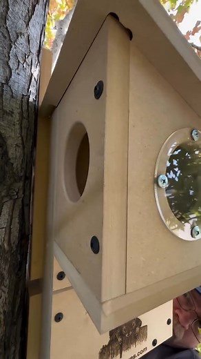 These predator-safe squirrel boxes are designed with love and care to give our furry friends the safest homes possible. They are made from weather proofed composite which is made to last for many years. Unlike wood boxes the only maintenance that will need to be done is cleaning when the box is unoccupied. On my site you find directions on the proper way to hang a box. 🏡❤️ There are 4 different models which are made in the same material. They are made 100% in the USA. Head over to Squirrelboxes