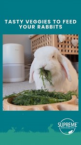 10K views · 450 reactions | Whilst hay should make up the biggest...