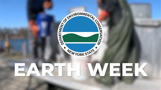 Whether it’s Earth Day, Arbor Day, or any day, DEC is always doing what we can to protect the land, water, and air across New York State. Here’s a look at some of the announcements and activities DEC participated in to celebrate Earth Week 2025. 🌳 | NYS Department of Environmental Conservation