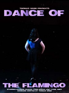 Dance of the Flamingo (2022) - Movie