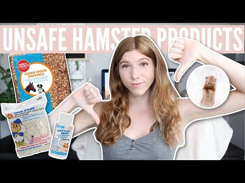 7 DANGEROUS Hamster Products