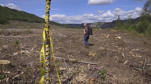 36K views · 333 reactions | All over the world countries are tearing...