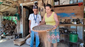 Agricultores de Barra do Turvo bate recorde e produz café ‘extraordinário’ em SP