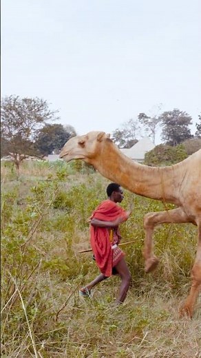 Bushmen Heritage - Episode 2