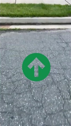 Fungicide - Here's why the grass really is greener on only one side of the road