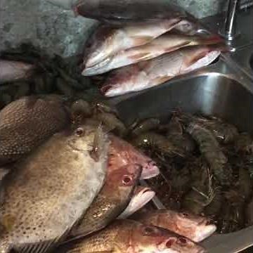 Cooking|Juicy Baked Oyster Without Shell|Talaba