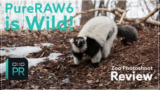 Calgary Zoo Wildlife Photography + DxO PureRAW 6 Workflow | DxO Labs