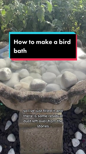 How to make a homemade bird bath Get a cheap stone planter Coat with a non toxic stone sealant which will repel water Plug any holes Wash and fill with rocks if its a little too deep Add a solar fountain to stop standing water #gardening #gardentok #gardendiy #gardendesignideas #gardenproject #gardeninghacks