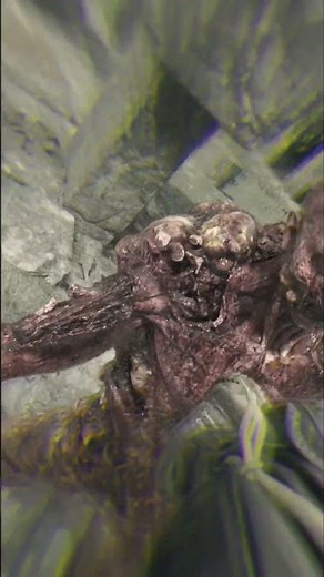 Dying Light: The Beast – Epic Boss Fight Finisher | Brutal Combat & Cinematic Gameplay!