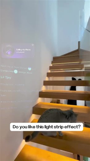 WELLMAX LED Strip Lights 24V 5M Flexible Indoor Decorative Lights 2 Year Warranty.#wellmax #quality #home #good #highquality #design #temperature #downlight #ledchip #led #ceiling #ledstriplight #ledstrip