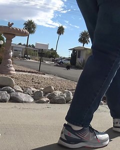 1.5K reactions · 58 shares | Your gift today goes straight to saving lives  From rescue operations to vital medical care, every dollar counts. Help us give these animals a second chance. Please donate now. | Hope For Paws | Facebook