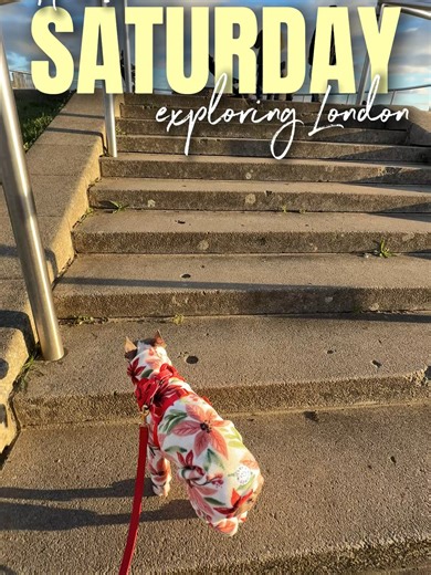 Exploring Canada Water: Dog-Friendly Walks and Pub Lunch