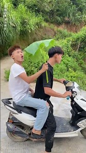 Creator Support Program, everyone is shaking off their burdens, funny video, here it comes, here