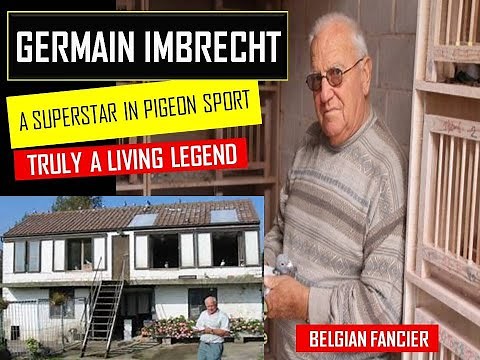 Germain Imbrecht The Living Legend of Pigeon Sport"