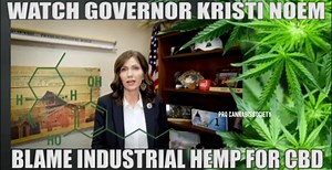 2.9K views · 107 reactions | Have you heard? S.D. Lawmakers plan to fight for their constituents on Hemp in the 2020 session. After their Gov continues to say she'll continue to veto any attempt to legalize Hemp | Marijuana - Pro Cannabis Society | Facebook