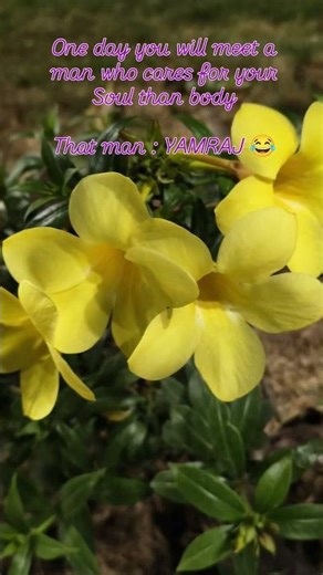 #trending #love #blogger #comedyshorts #comedyvideos #shortvideos #youtubeshorts #funny #nature