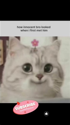 BRO 😭#memes