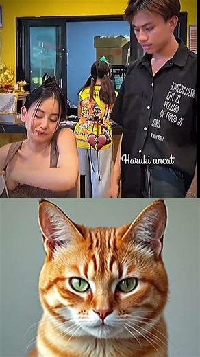 5. "Something You Need to See"😃#cat #memes #funny #shorts #ternding