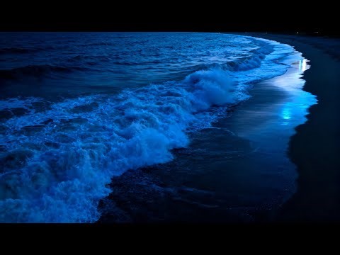 Ocean Waves for Deep Sleep, Dark Screen Stress Calm